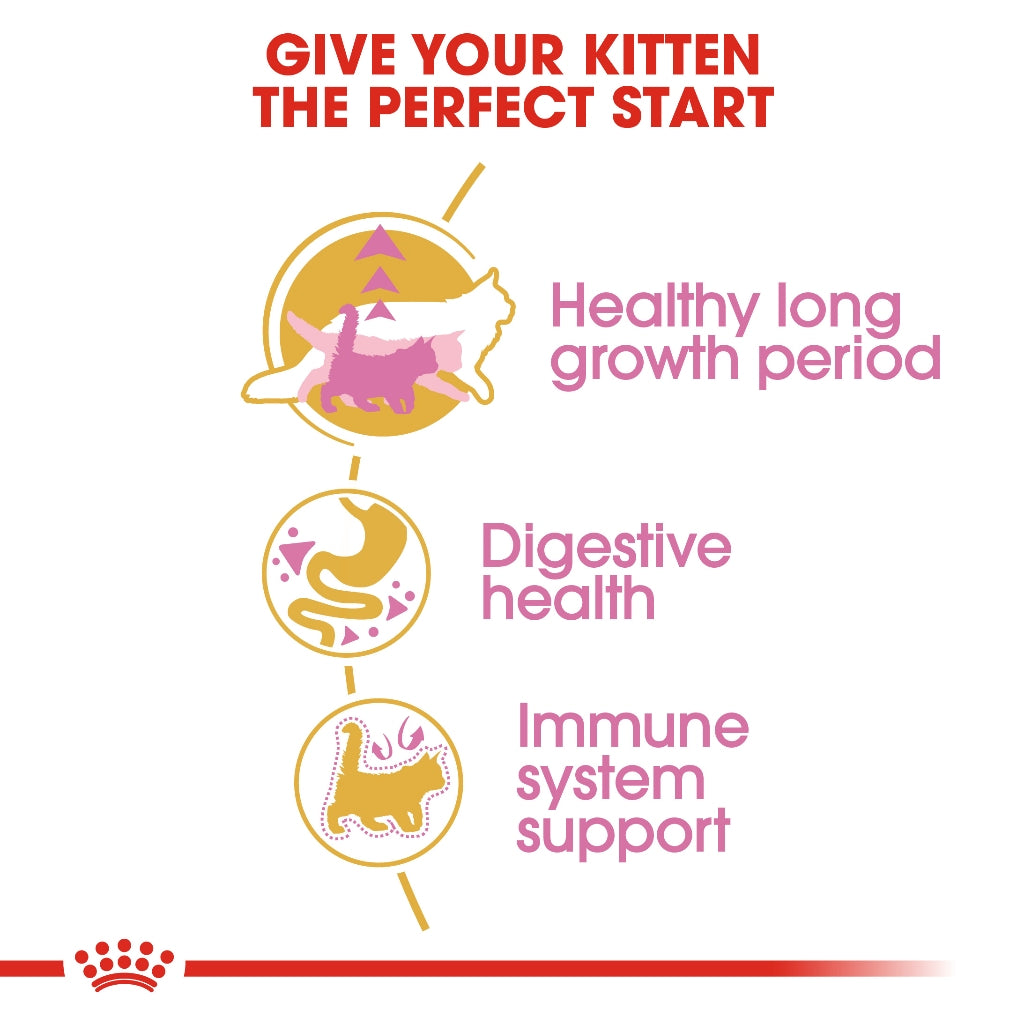 Royal Canin MAINECOON KITTEN