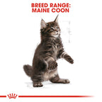 Royal Canin MAINECOON KITTEN