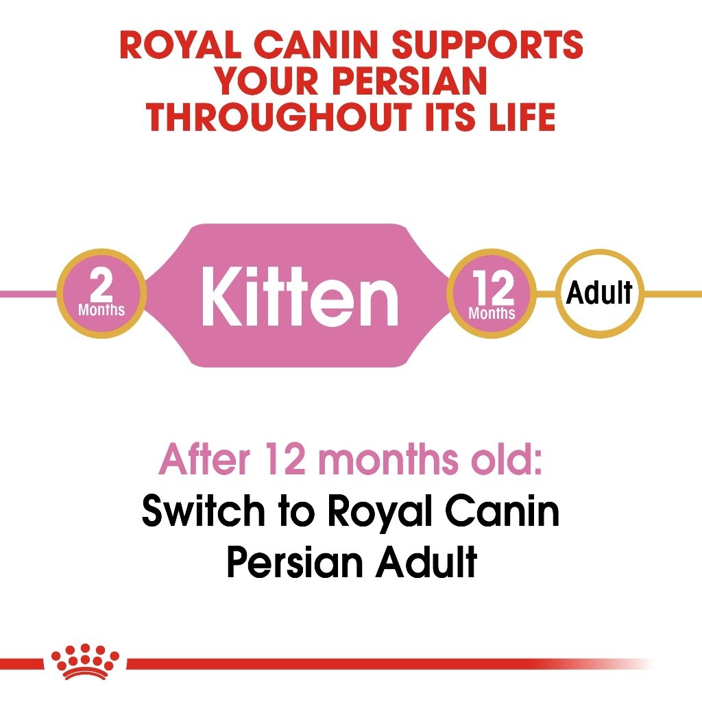 Royal Canin KITTEN PERSIAN