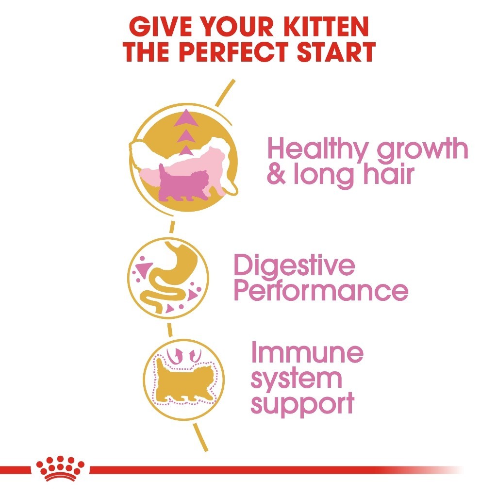 Royal Canin KITTEN PERSIAN