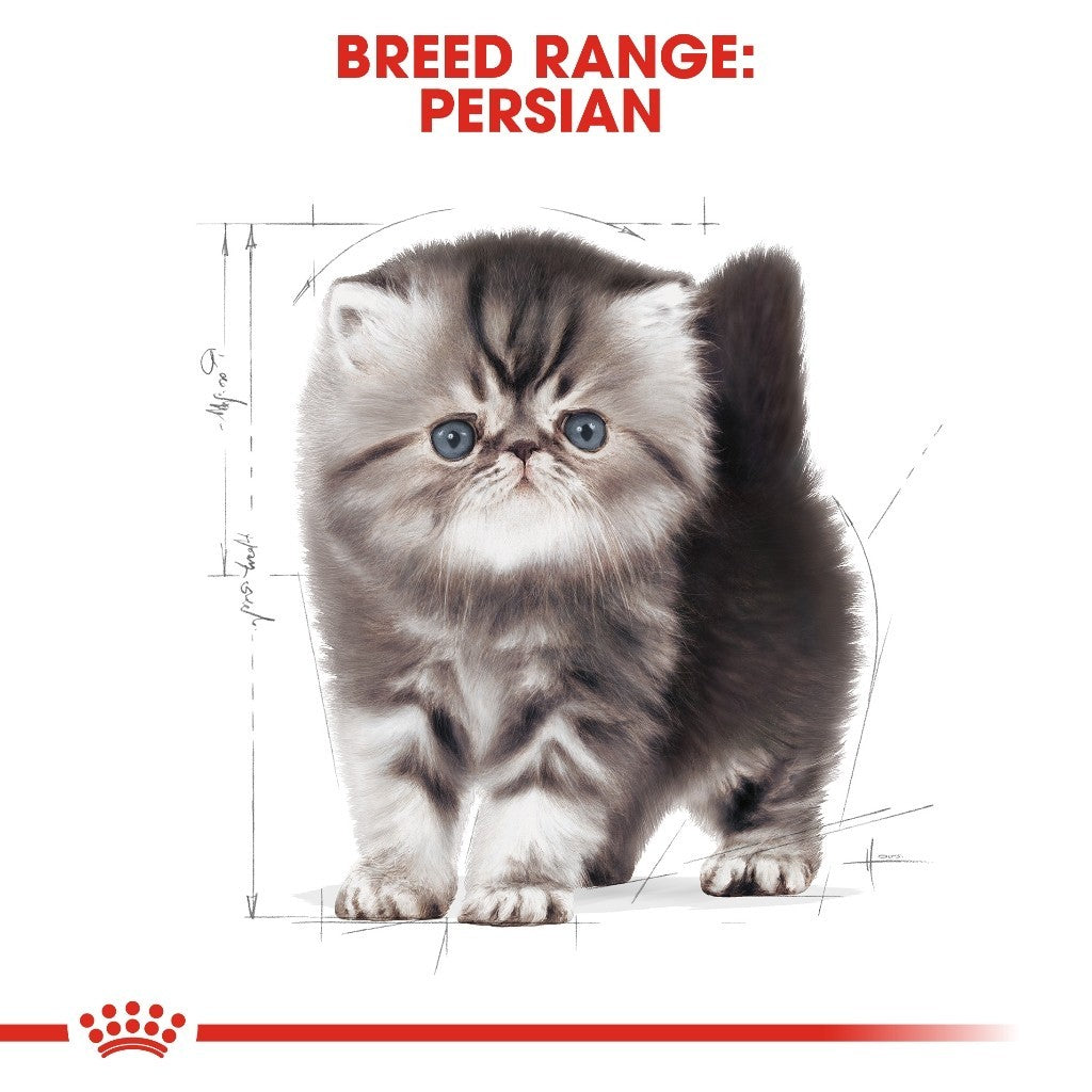 Royal Canin KITTEN PERSIAN