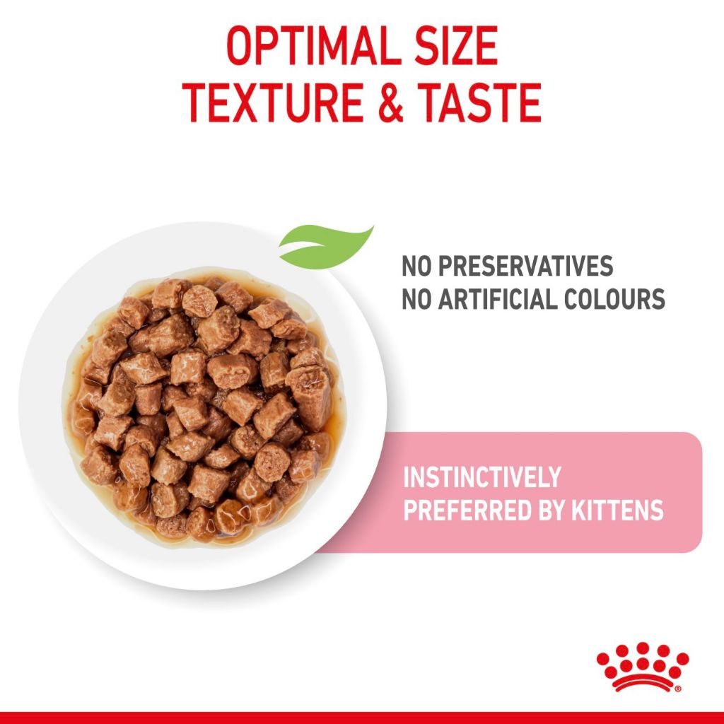 Royal Canin WET CAT KITTEN POUCH 85G