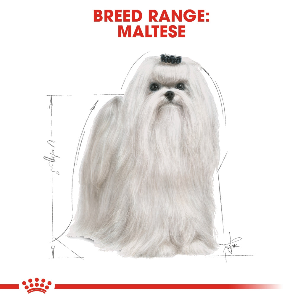 Royal Canin MALTESE ADULT 1.5KG