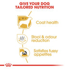 Royal Canin MALTESE ADULT 1.5KG