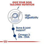 Royal Canin MAXI ADULT