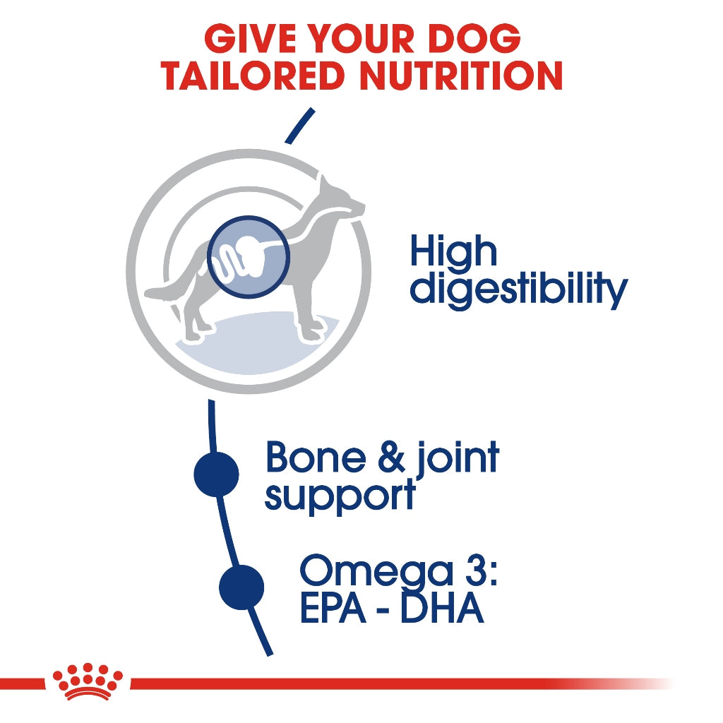 Royal Canin MAXI ADULT
