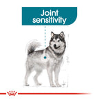 Royal Canin MAXI JOINT CARE 10KG