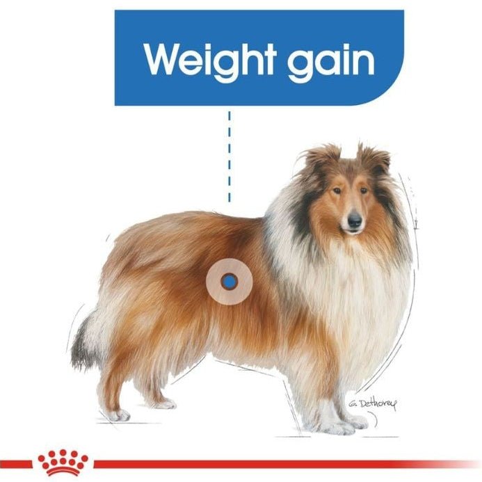Royal Canin MAXI LIGHT WEIGHT CARE 12KG