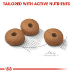 Royal Canin MAXI LIGHT WEIGHT CARE 12KG