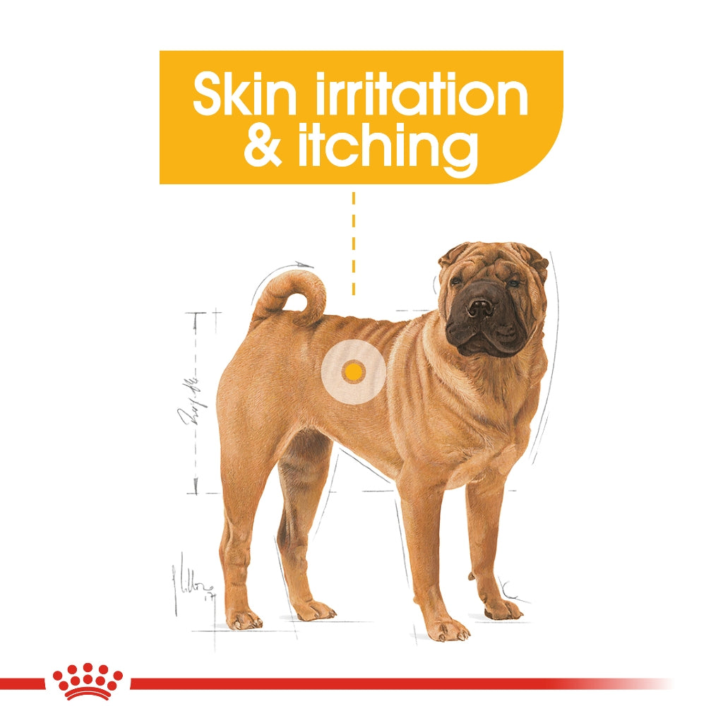 Royal Canin MEDIUM DERMACOMFORT 12KG