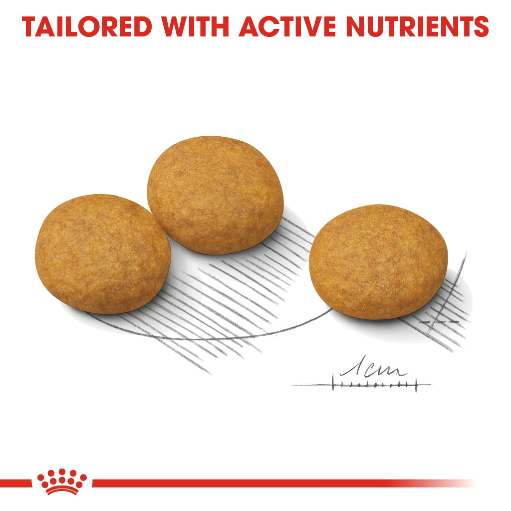 Royal Canin MEDIUM DERMACOMFORT 12KG