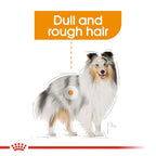 Royal Canin MINI COAT 3KG