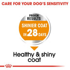 Royal Canin MINI COAT 3KG