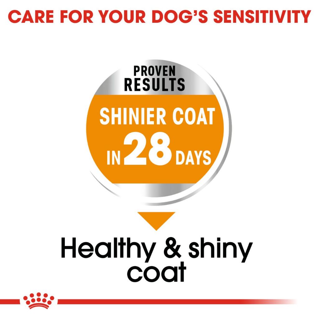 Royal Canin MINI COAT 3KG