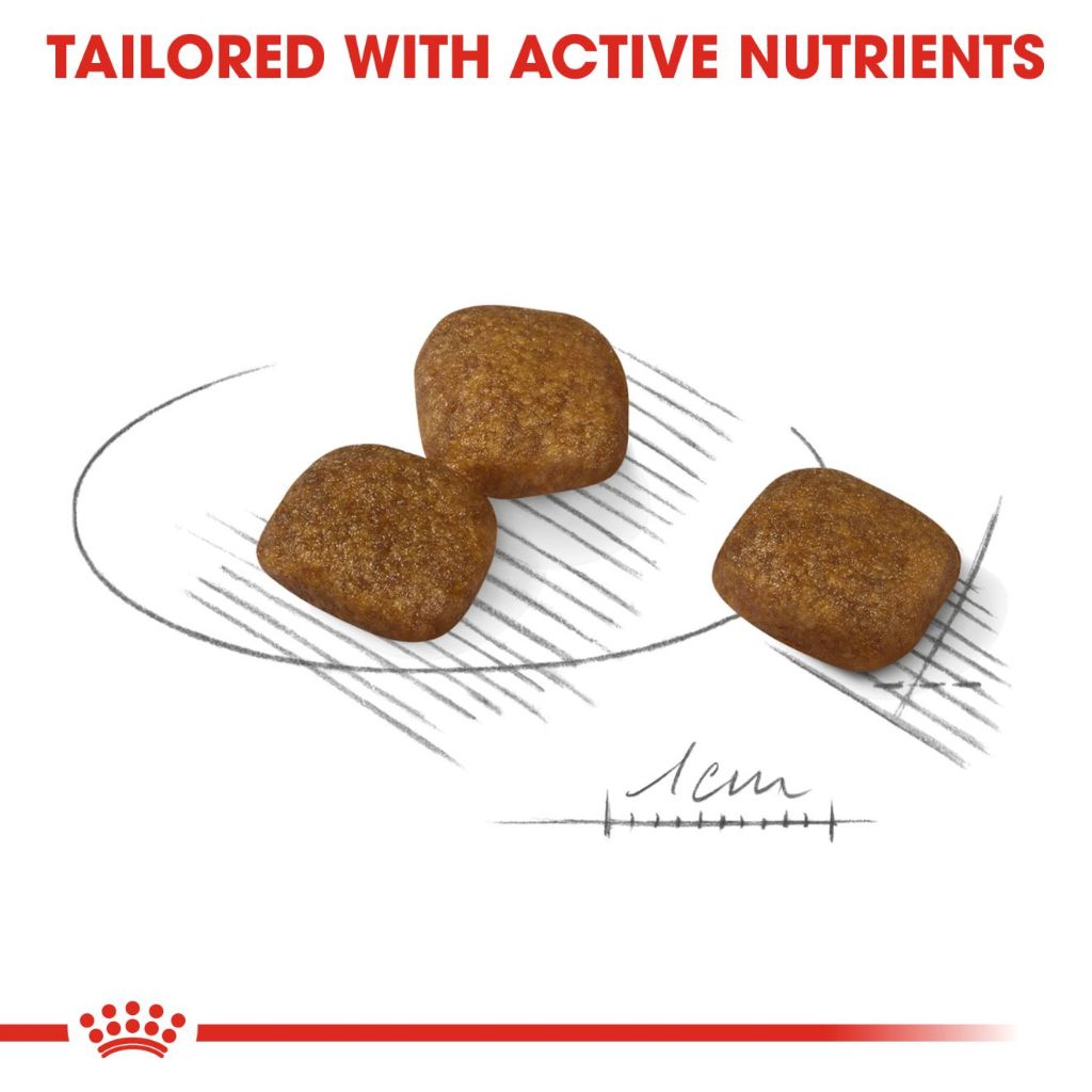 Royal Canin MINI COAT 3KG