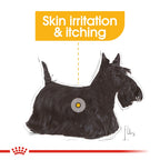 Royal Canin MINI DERMACOMFORT 3KG