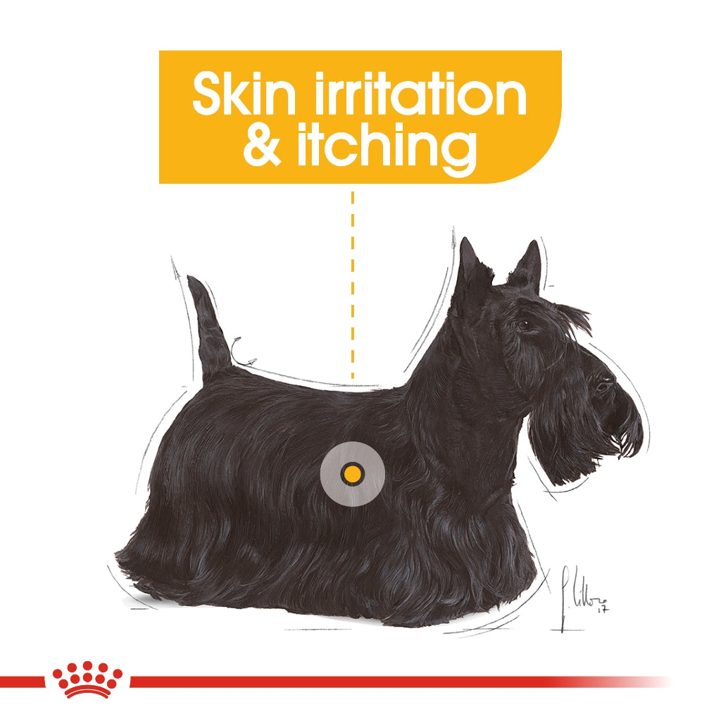 Royal Canin MINI DERMACOMFORT 3KG