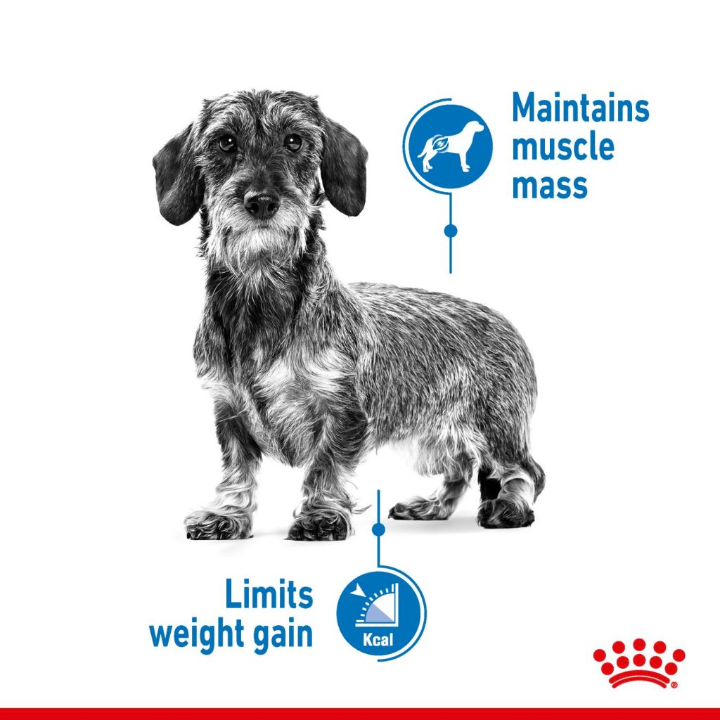 Royal Canin MINI LIGHT WEIGHT CARE 3KG