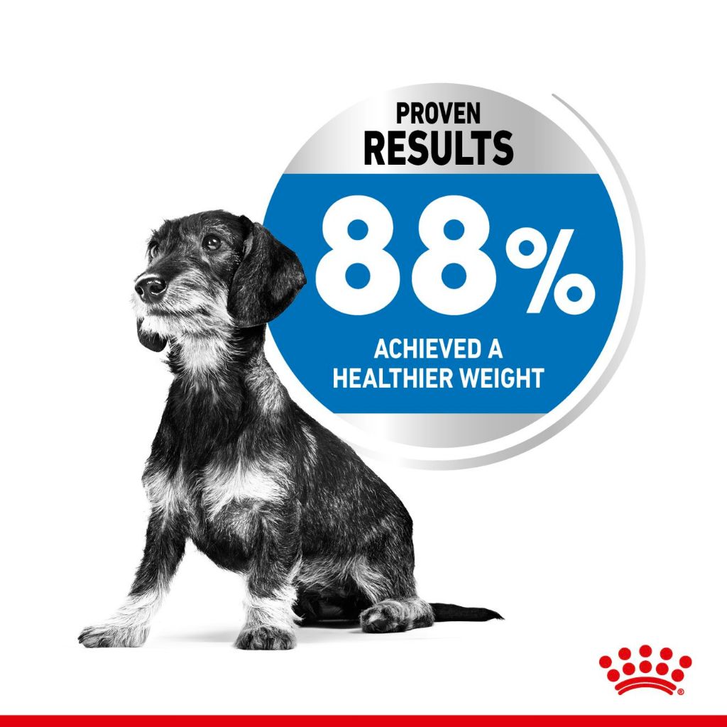 Royal Canin MINI LIGHT WEIGHT CARE 3KG