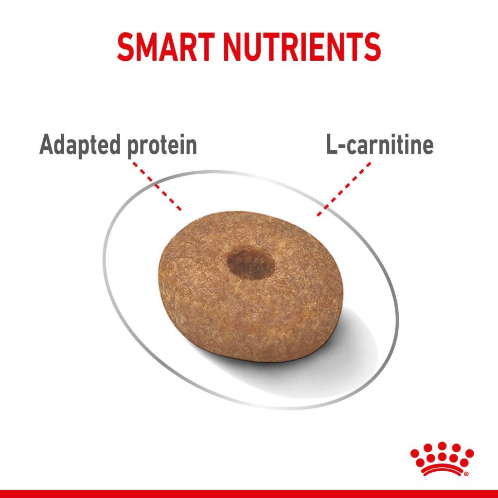 Royal Canin MINI LIGHT WEIGHT CARE 3KG