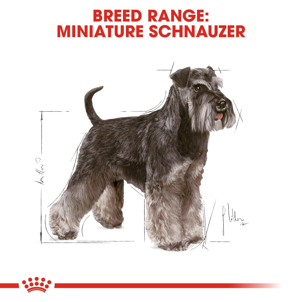 Royal Canin SCHNAUZER ADULT 3KG