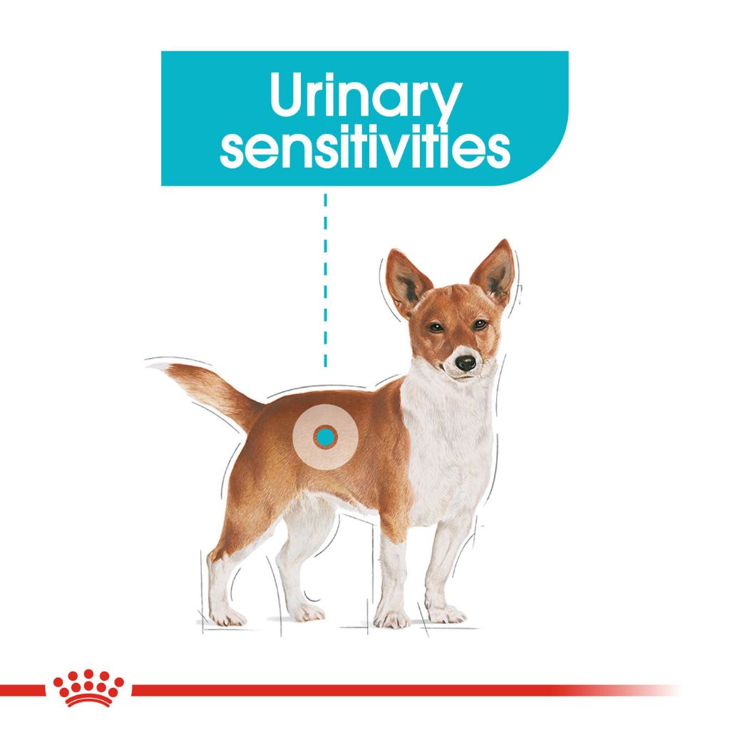 Royal Canin MINI URINARY 3KG