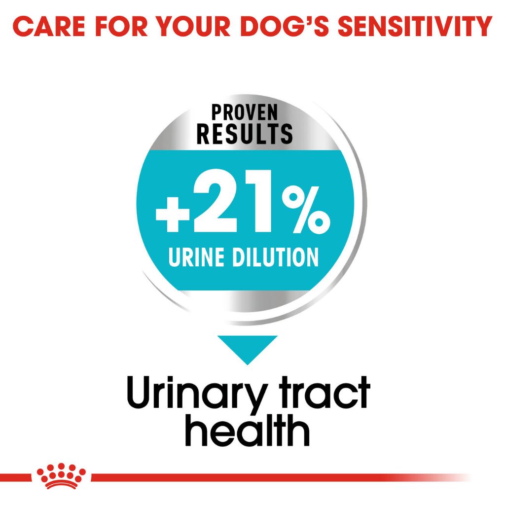 Royal Canin MINI URINARY 3KG