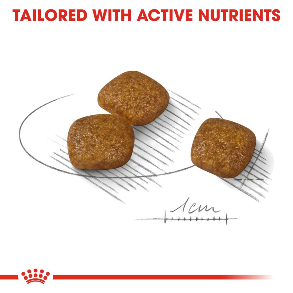 Royal Canin MINI URINARY 3KG