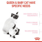 Royal Canin MOTHER & BABYCAT