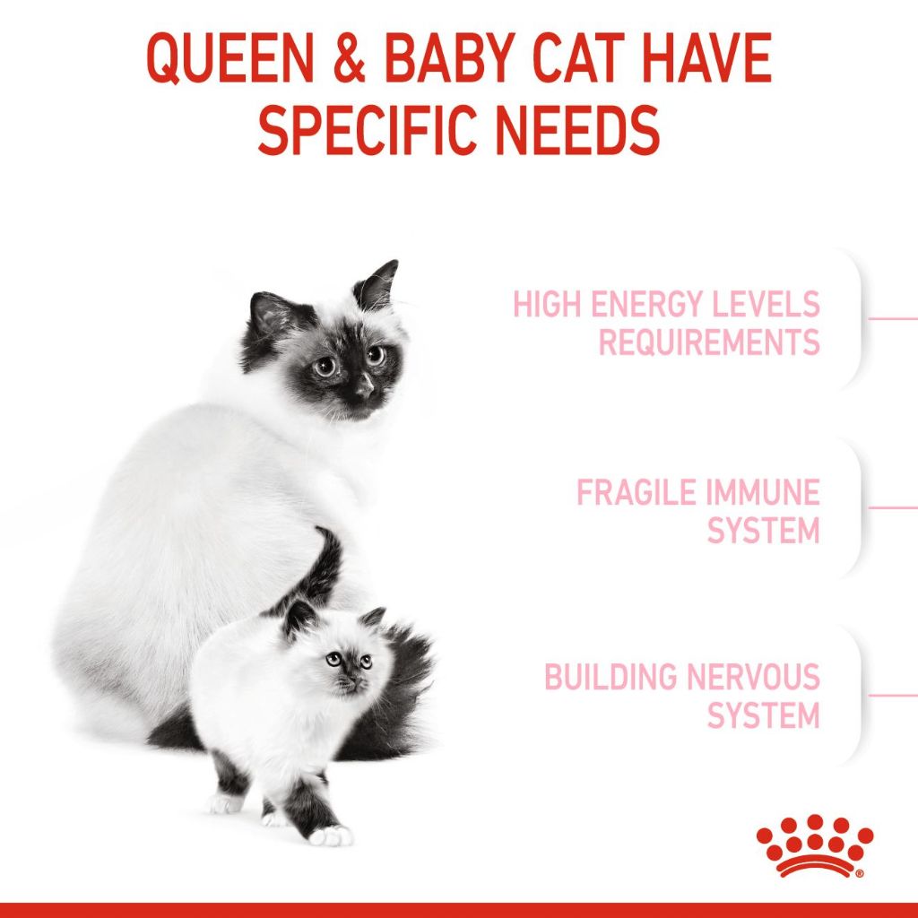 Royal Canin MOTHER & BABYCAT