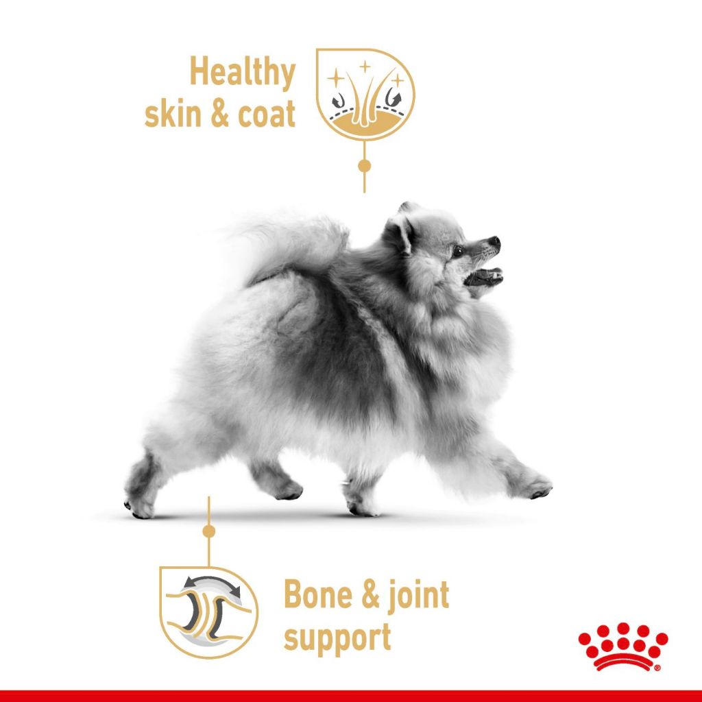 Royal Canin POMERANIAN ADULT