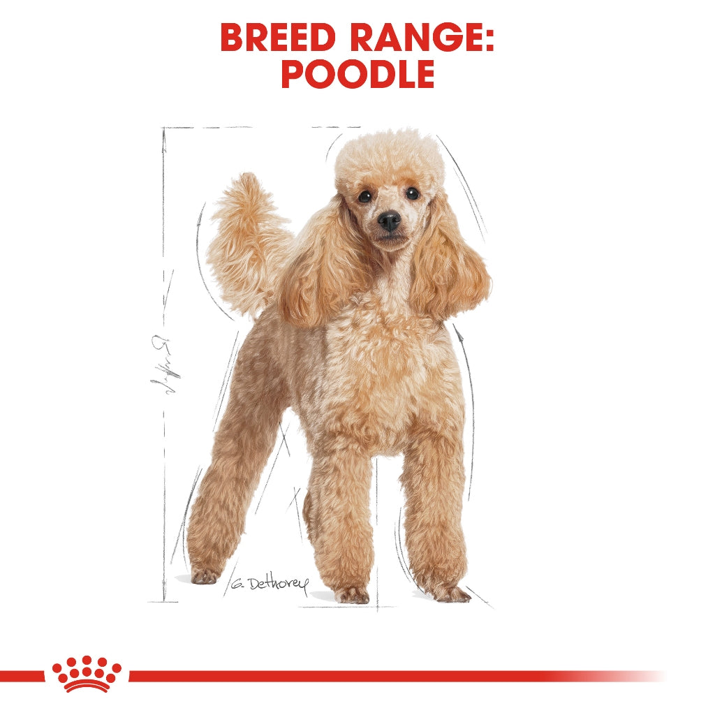 Royal Canin POODLE ADULT
