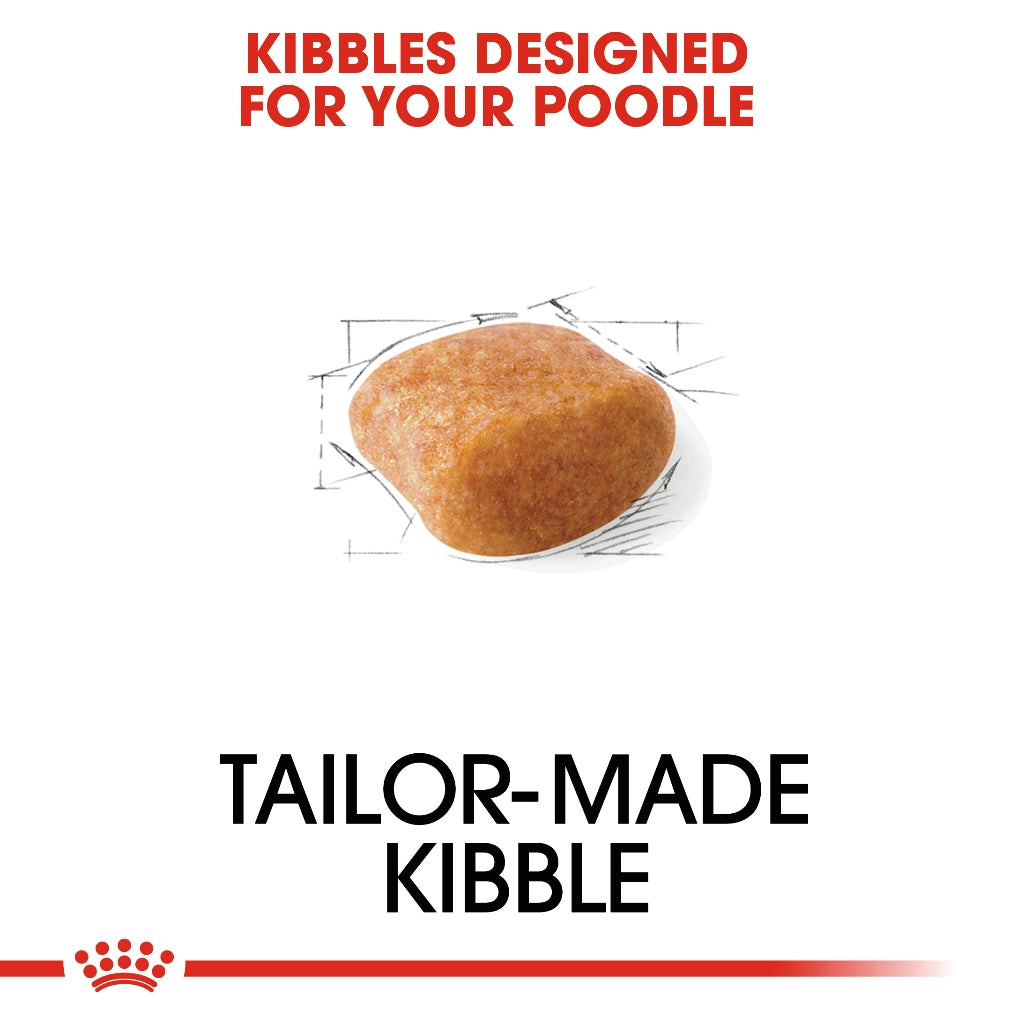 Royal Canin POODLE ADULT