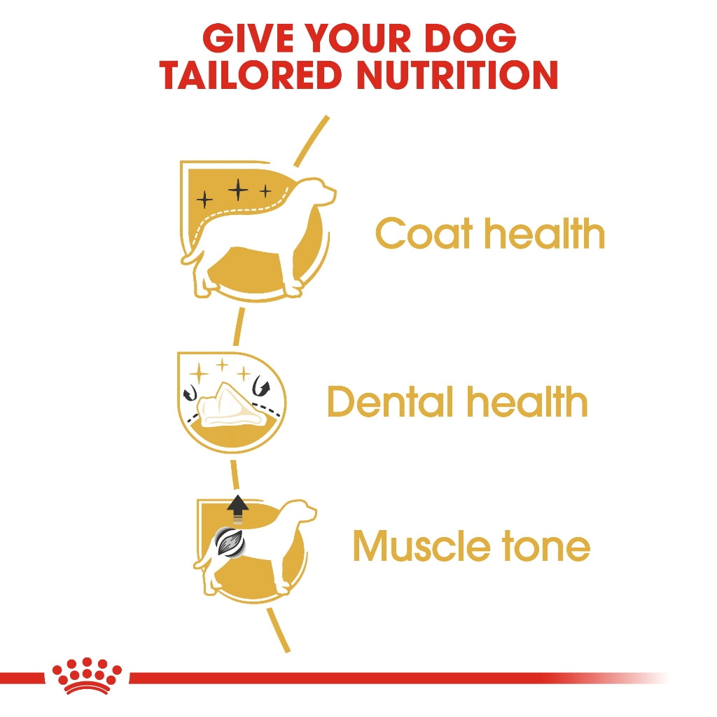 Royal Canin WET POODLE ADULT POUCH 85G