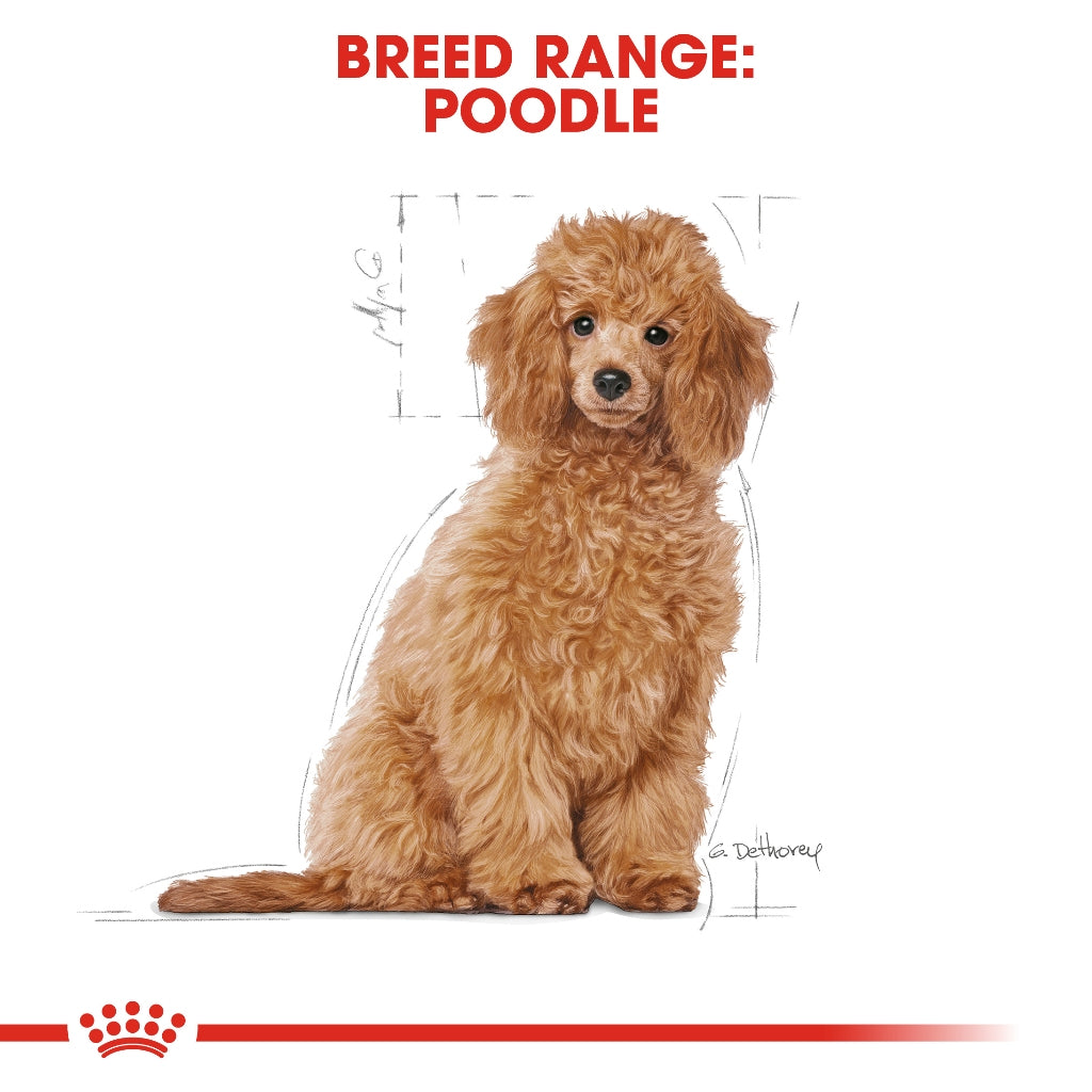 Royal Canin POODLE PUPPY 3KG