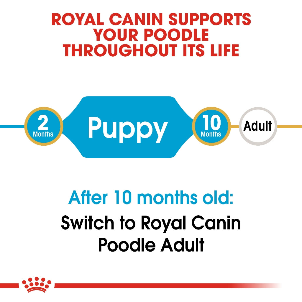 Royal Canin POODLE PUPPY 3KG