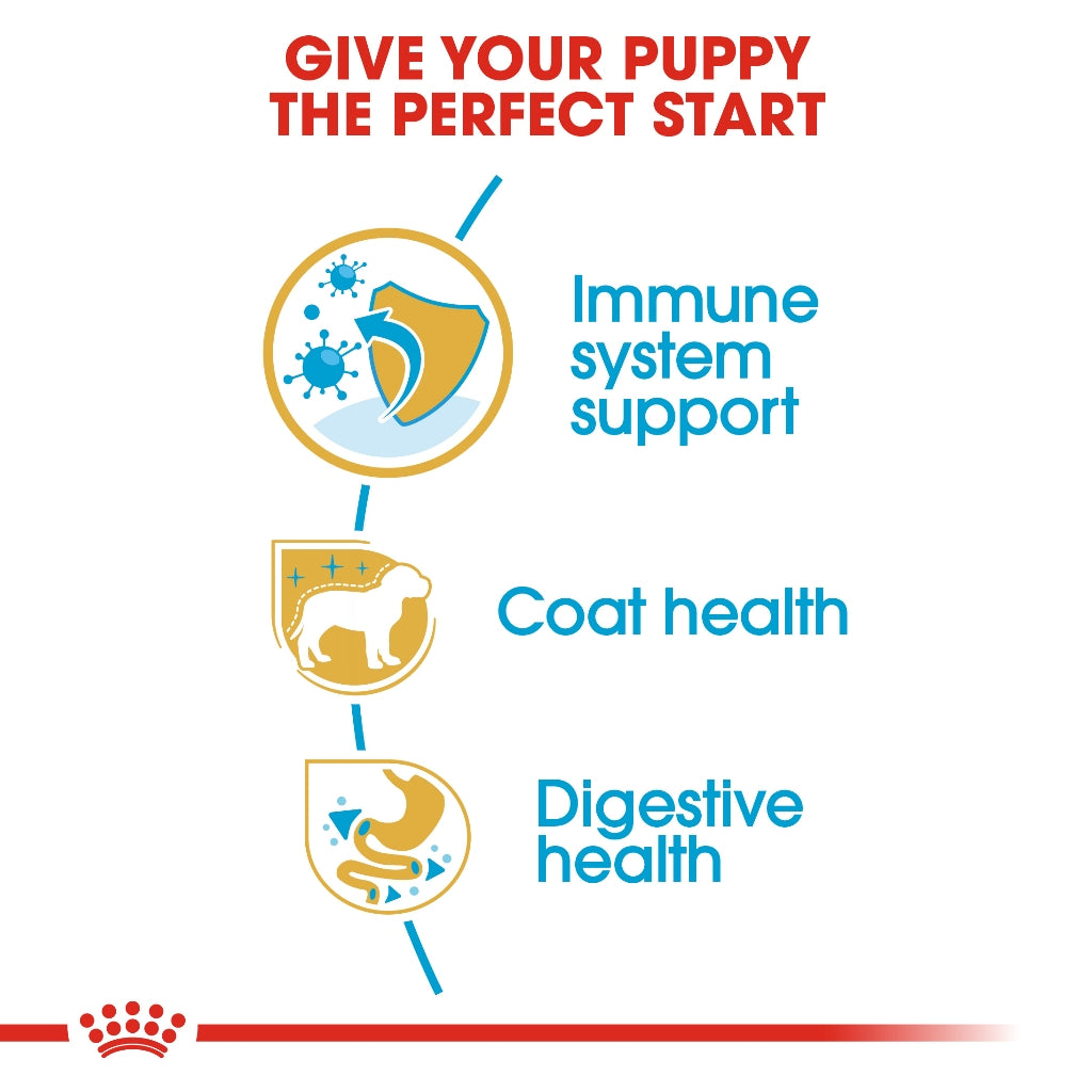 Royal Canin POODLE PUPPY 3KG