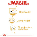 Royal Canin SHIH TZU ADULT