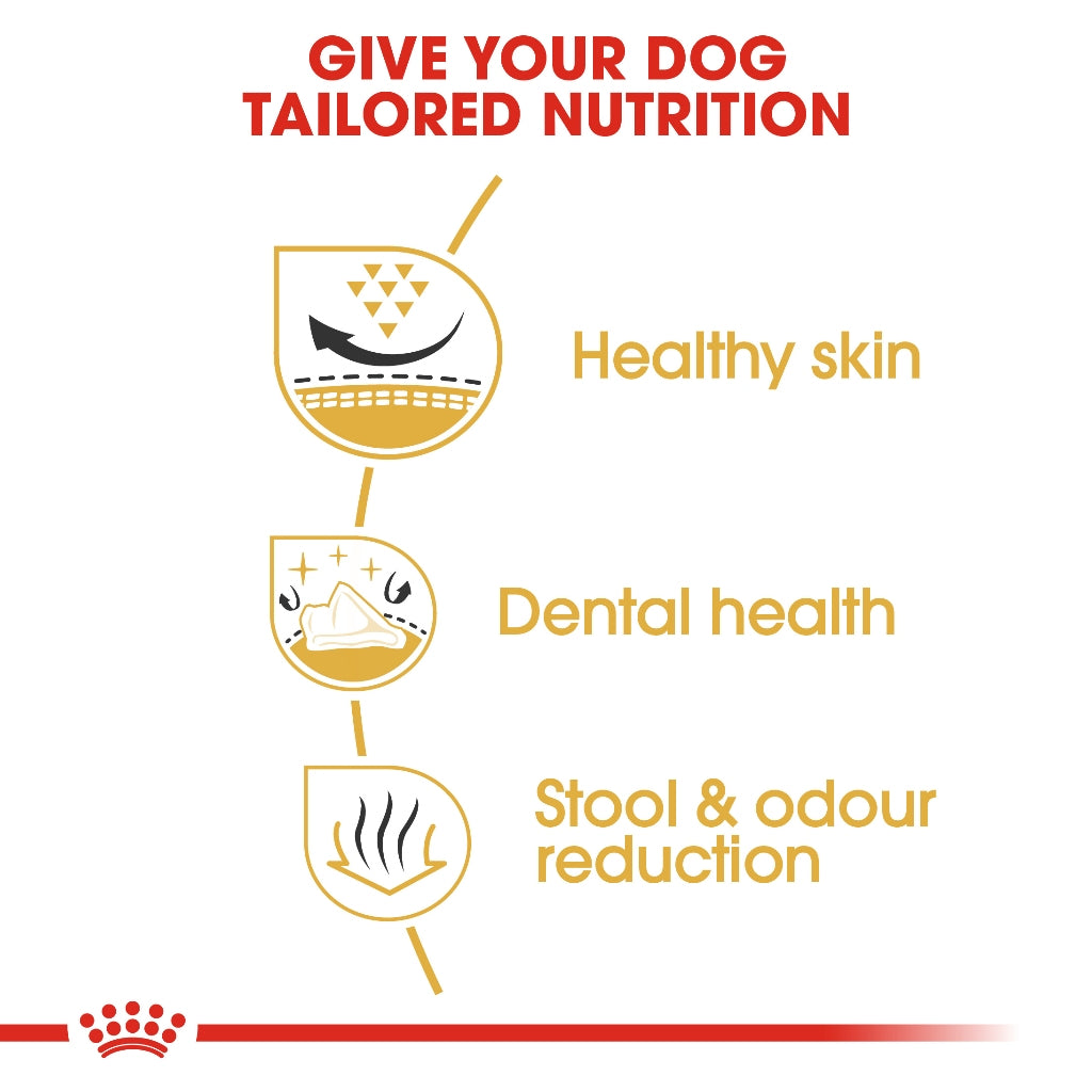 Royal Canin SHIH TZU ADULT