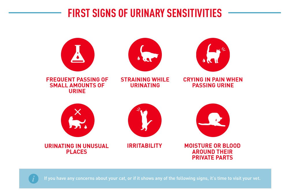 Royal Canin URINARY CARE