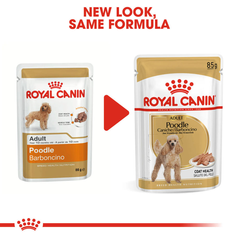 Royal Canin WET POODLE ADULT POUCH 85G