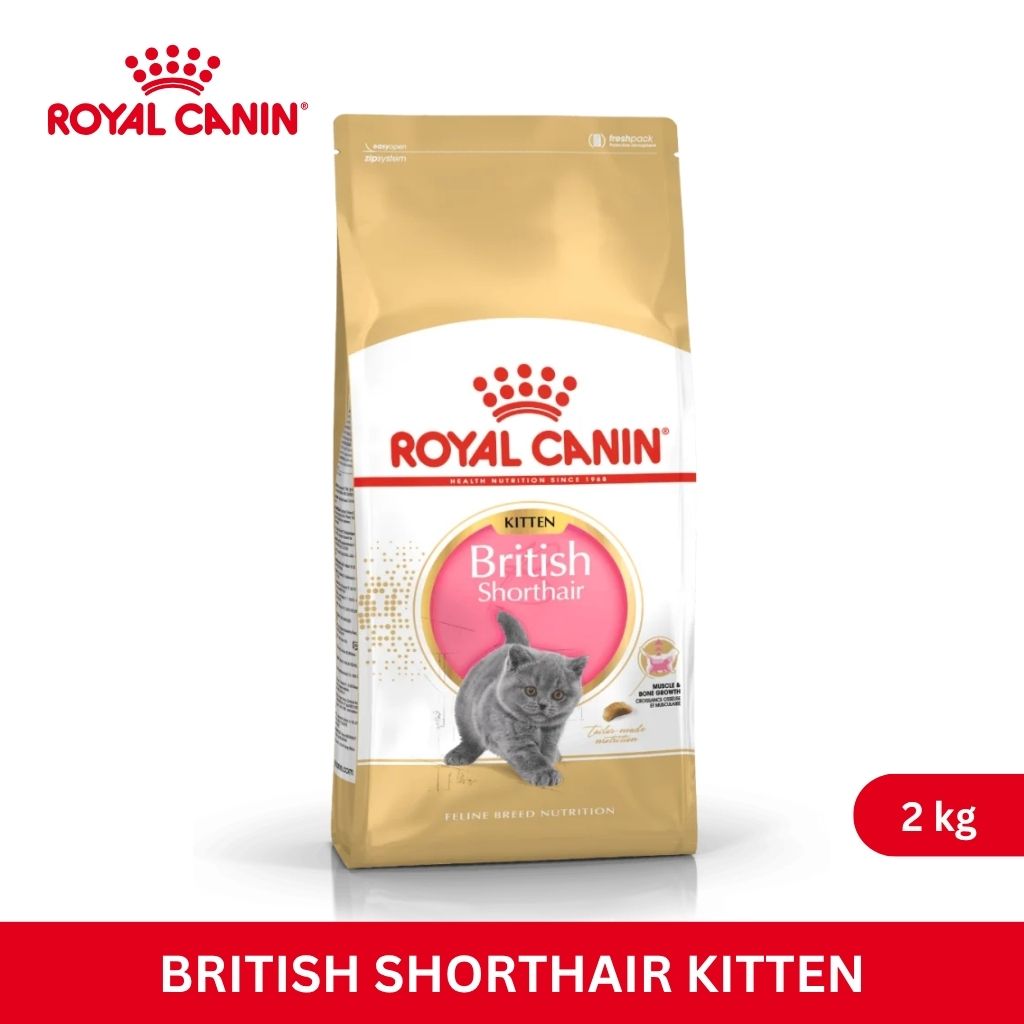 Royal Canin BRITISH SHORT HAIR KITTEN 2KG