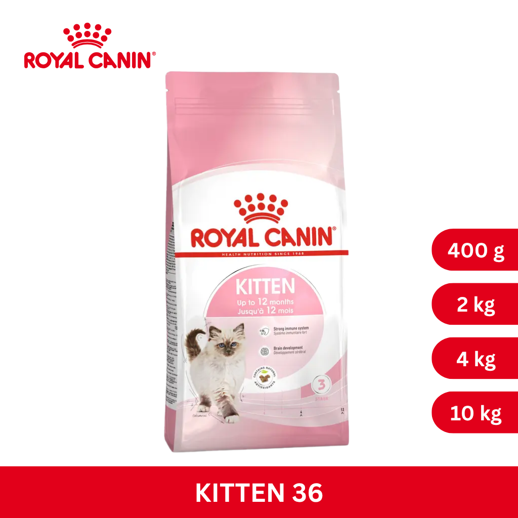 Royal Canin KITTEN