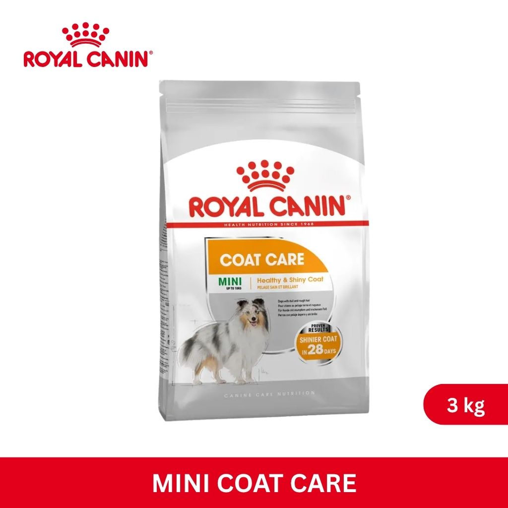 Royal Canin MINI COAT 3KG