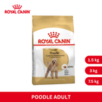 Royal Canin POODLE ADULT