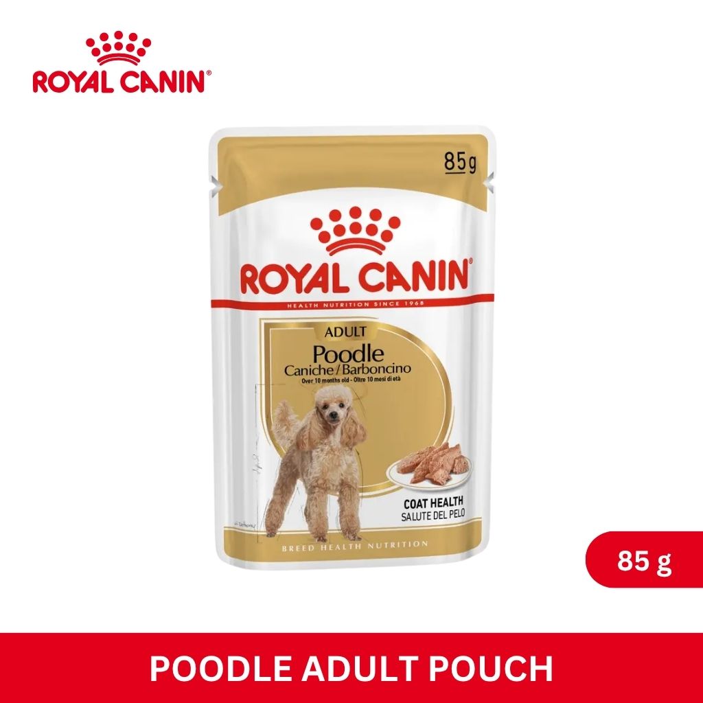 Royal Canin WET POODLE ADULT POUCH 85G