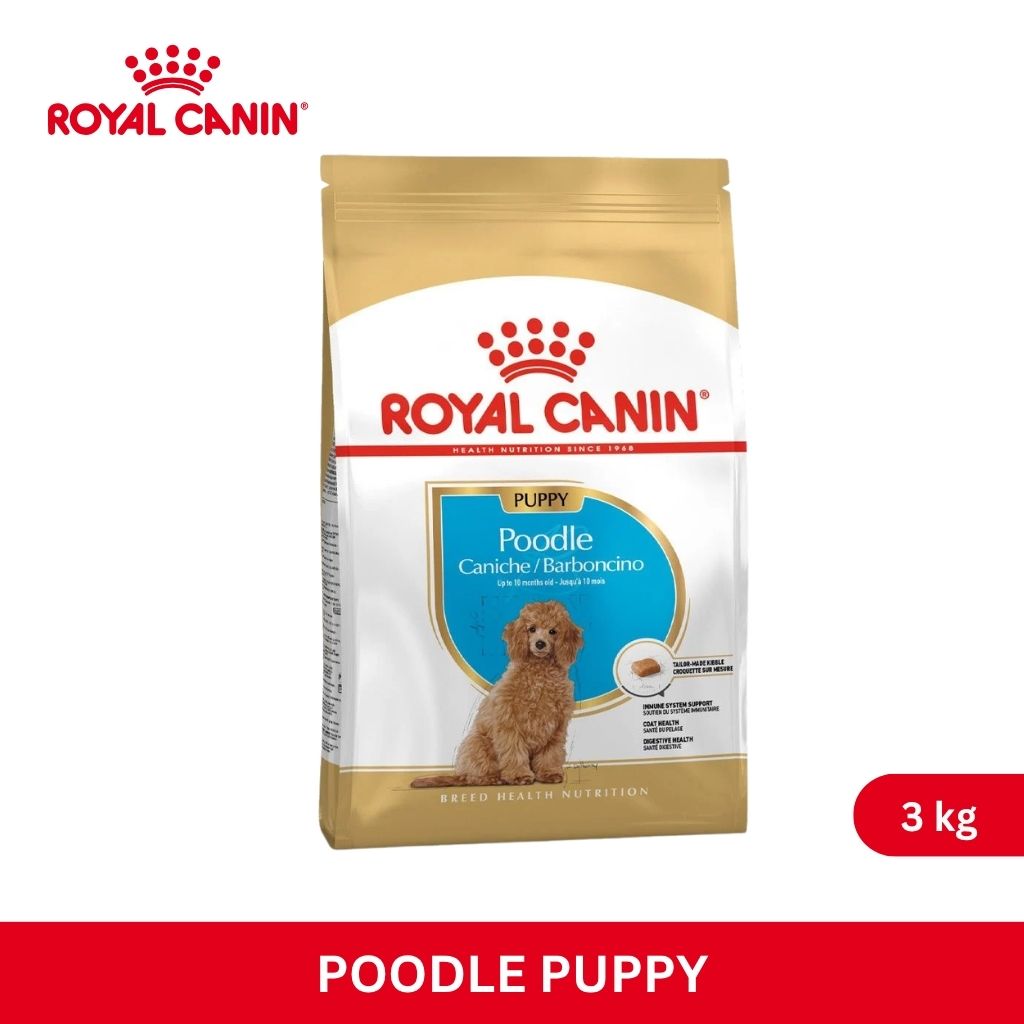 Royal Canin POODLE PUPPY 3KG