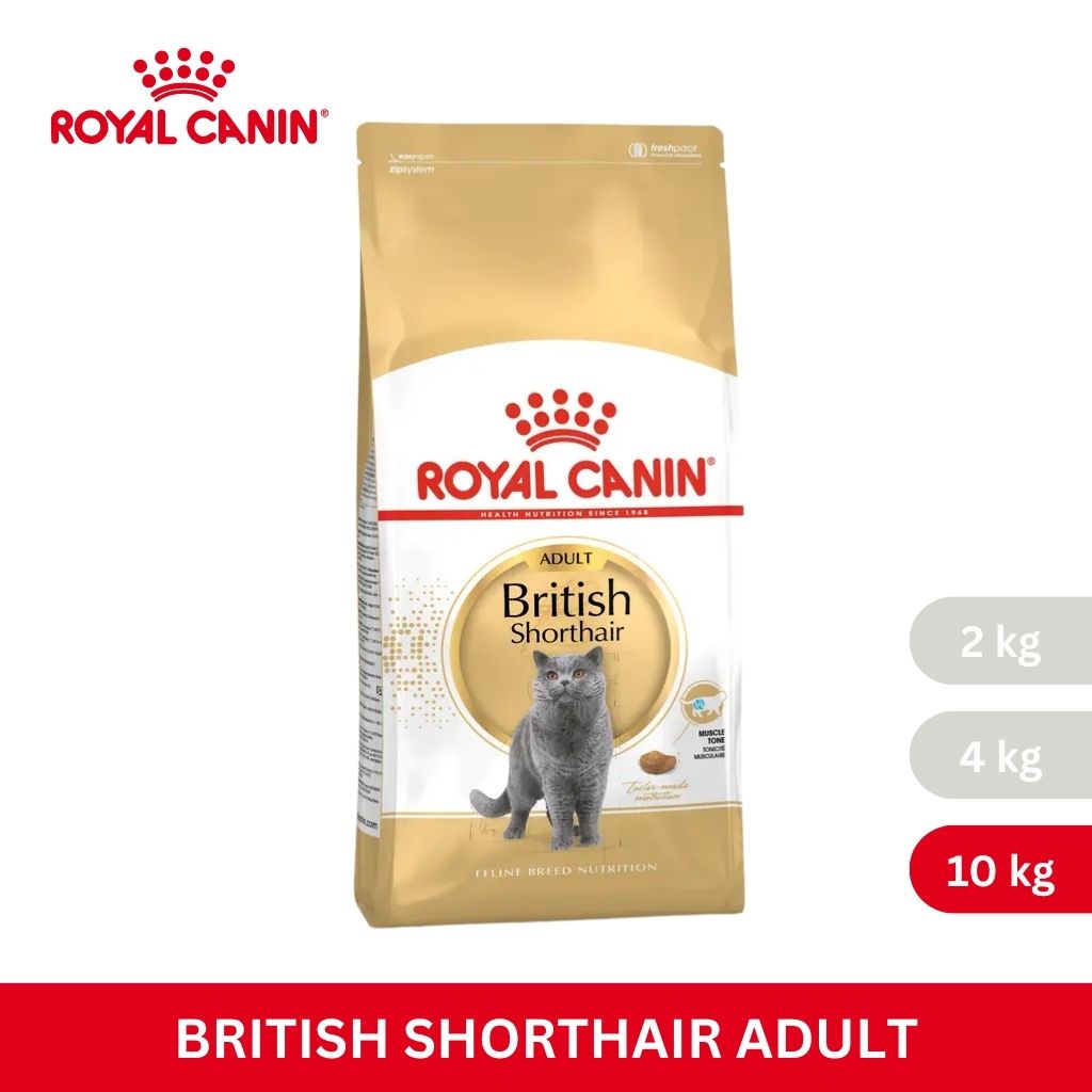 Royal Canin BRITISH SHORT HAIR ADULT