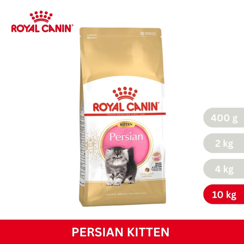 Royal Canin KITTEN PERSIAN