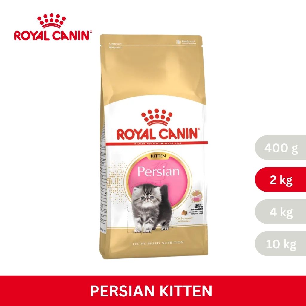 Royal Canin KITTEN PERSIAN